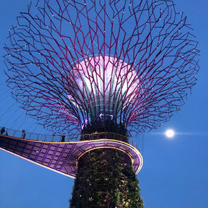 Meet your Posher, Judith